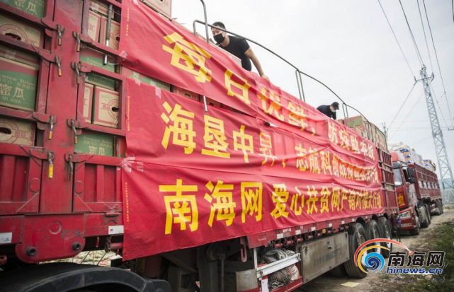 600万斤哈密瓜上线 南海网、海南爱心扶贫网联合每日优鲜破解农产品销售难